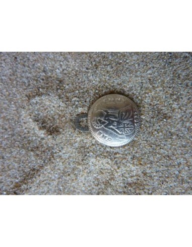 Charm One Penny argenté