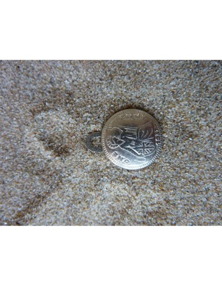 Charm One Penny argenté