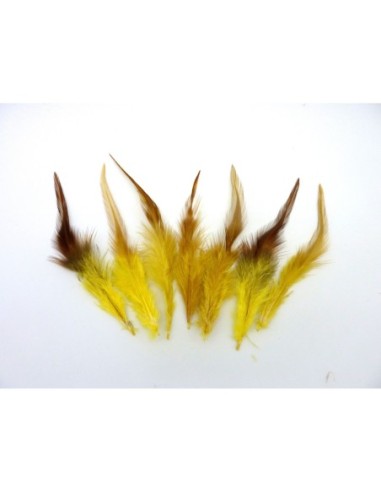 Plume décorative de couleur jaune attrape rêve