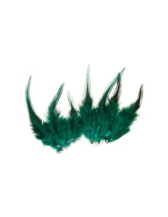 Plume vert bouteille pour décoration murale approximativement 8-16 cm