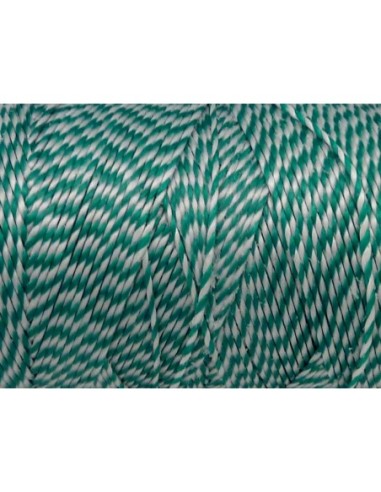 5m Fil polyester ciré 0,8mm bicolore vert et blanc