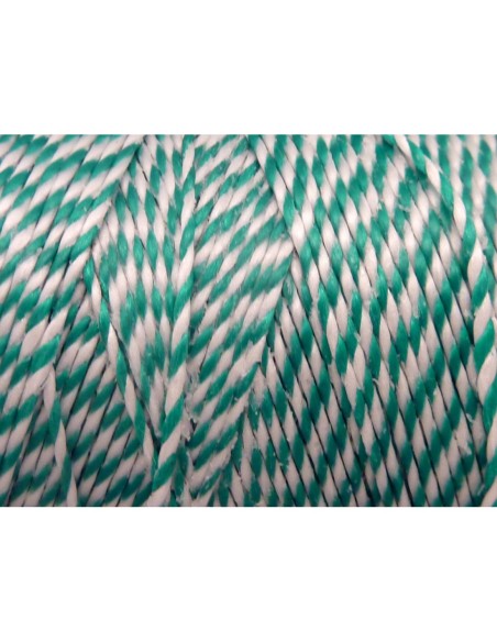 5m Fil polyester ciré 0,8mm bicolore vert et blanc