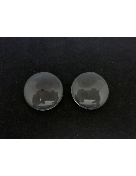 Lot de 2 Cabochons rond 25mm en verre