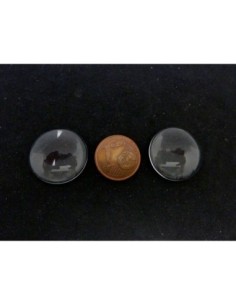 Cabochon rond 20mm en verre 2