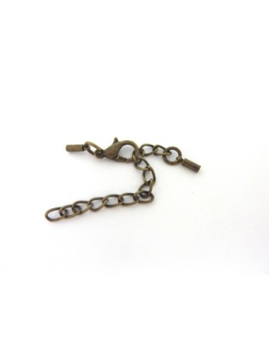 2 Fermoirs mousqueton embout rond avec chaine de rallonge