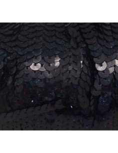 5m Ruban Galon sequin 6mm noir brillant reflet irisé...