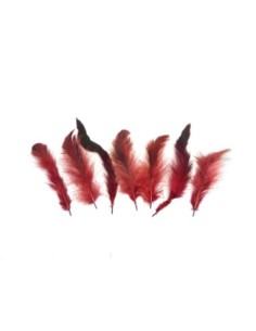 Plume bordeaux grenat pour customisation de chapeau approximativement 8-15 cm 2