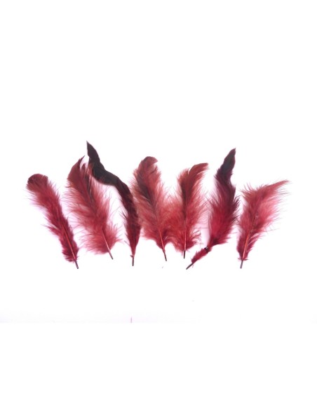 Plume rouge bordeaux décorative