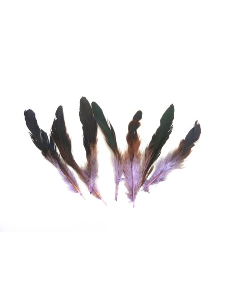 R-7 plumes teinte mauve et sur le haut marron reflet vert approximativement 13-18 cm