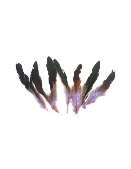 R-7 plumes teinte mauve et sur le haut marron reflet vert approximativement 13-18 cm