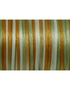 Cordon queue de rat 2mm dégradé vert amande, rouille, blanc