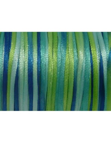 Cordon queue de rat 2mm multicolore dégradé de vert et bleu