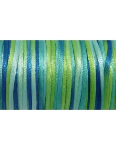 Cordon queue de rat 2mm multicolore dégradé de vert et bleu 2