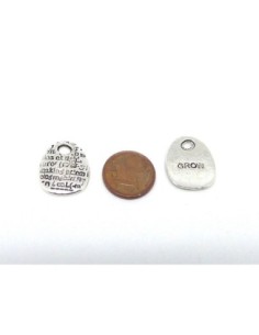 5 Breloques sequins plaque pampille "grow" en métal argenté 19,2mm 2