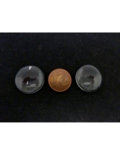 Cabochons 18mm rond loupe en verre 2