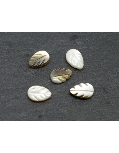 5 Perles feuille en nacre 9mm x 6mm de couleur irisé marron beige, écru