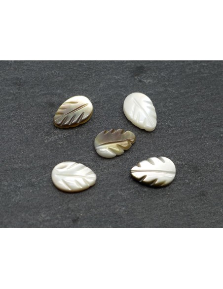 5 Perles feuille en nacre 9mm x 6mm de couleur irisé marron beige, écru