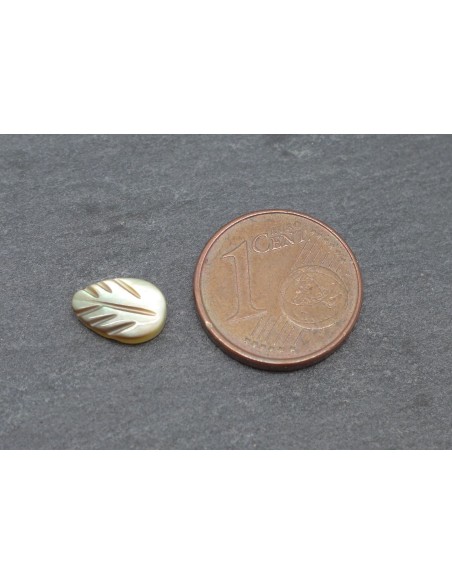 5 Perles feuille en nacre 9mm x 6mm de couleur irisé marron beige, écru