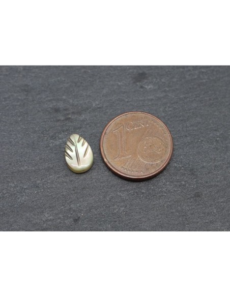 5 Perles feuille en nacre 9mm x 6mm de couleur irisé marron beige, écru