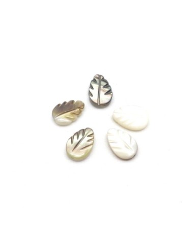 5 Perles feuille en nacre 9mm x 6mm de couleur irisé marron beige, écru
