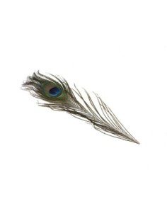 Plume de paon imitation pour décoration embellissement attrape rêves