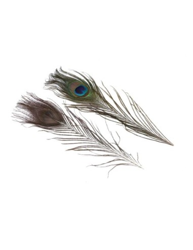 Plume de paon imitation pour costume, chapeau