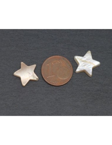 Perle en nacre pour des créations uniques