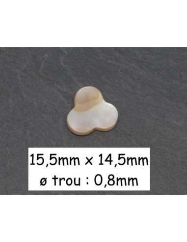 Perle fleur, rond en nacre de couleur ivoire nacré 15mm