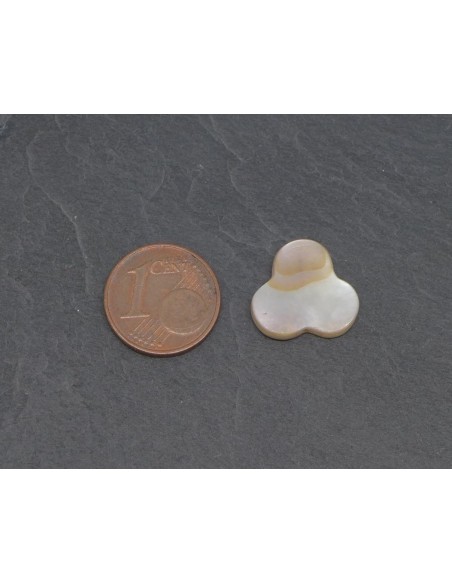 Perle cercle entrelacé en nacre de couleur ivoire nacré 15mm