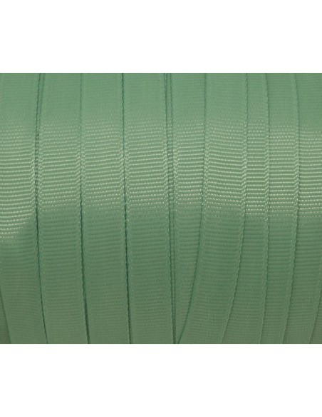 galon gros grain de largeur 10mm souple vert amande pas cher