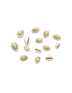 perle coquillage cauris beige clair vernis et troué tailles assorties de 14mm à 20mm 2