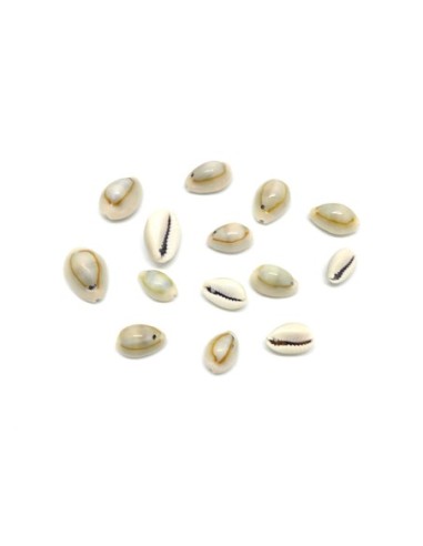 coquillage cauris beige clair vernis et troué tailles assorties de 14mm à 20mm