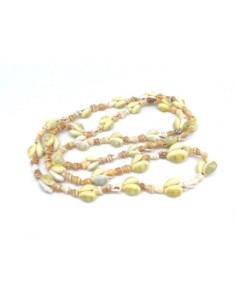 perle coquillage cauris, concha Mers du Sud de couleur beige, marron , blanc naturel vernis