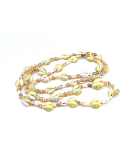 perle coquillage cauris, concha Mers du Sud de couleur beige, marron , blanc naturel vernis