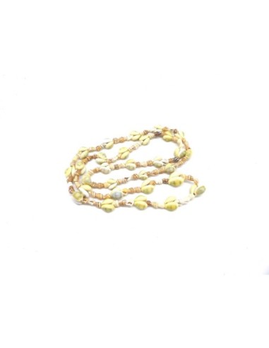 plus de 140 perle coquillage cauris, concha Mers du Sud de couleur beige, marron , blanc naturel vernis