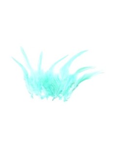 Plume vert pastel pour attrape rêves approximativement 8-15 cm