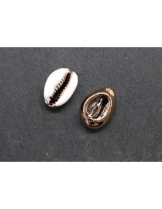 Perle coquillage cauris doré et blanc 17mm - 22mm