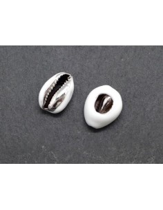 Perle coquillage cauris blanc et argenté 20mm - 25mm