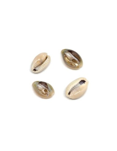Perle coquillage cauris beige marbré ouverts tailles de 14mm à 17mm