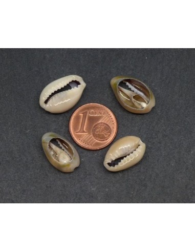Petite Perle coquillage cauris beige marbré ouverts tailles de 14mm à 17mm