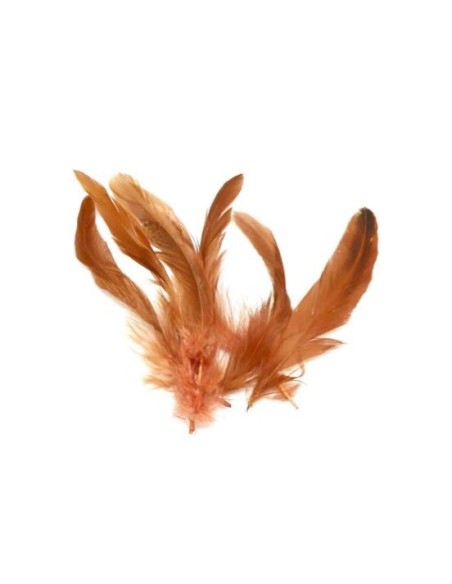 Plume marron rouille pour customisation