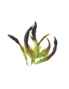 Plume vert olive pour décoration mariage