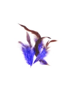 Plume violet indigo pour scrapbooking