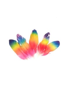 Plume multicolore pour customisation