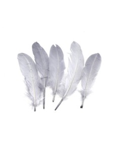 Plume gris perle pour décoration