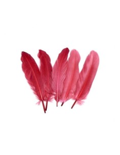 Plume rose framboise pour création DIY faire-parts