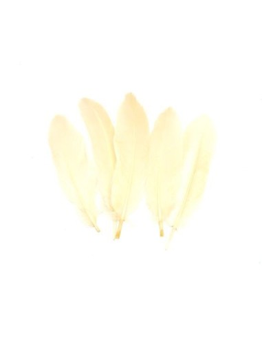 Plume beige coquille d'oeuf pas chère 14cm-20cm