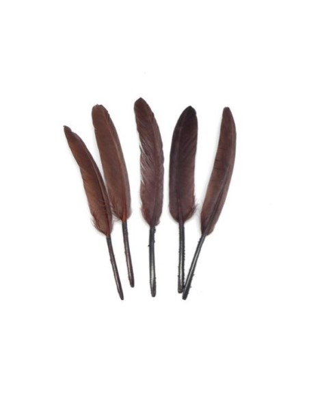 Plume marron foncé 10cm-15cm pour création DIY