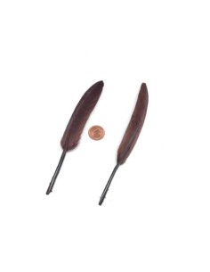 Plume marron foncé 10cm-15cm pour création DIY 2