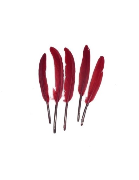 Plume rouge bordeaux pour création DIY